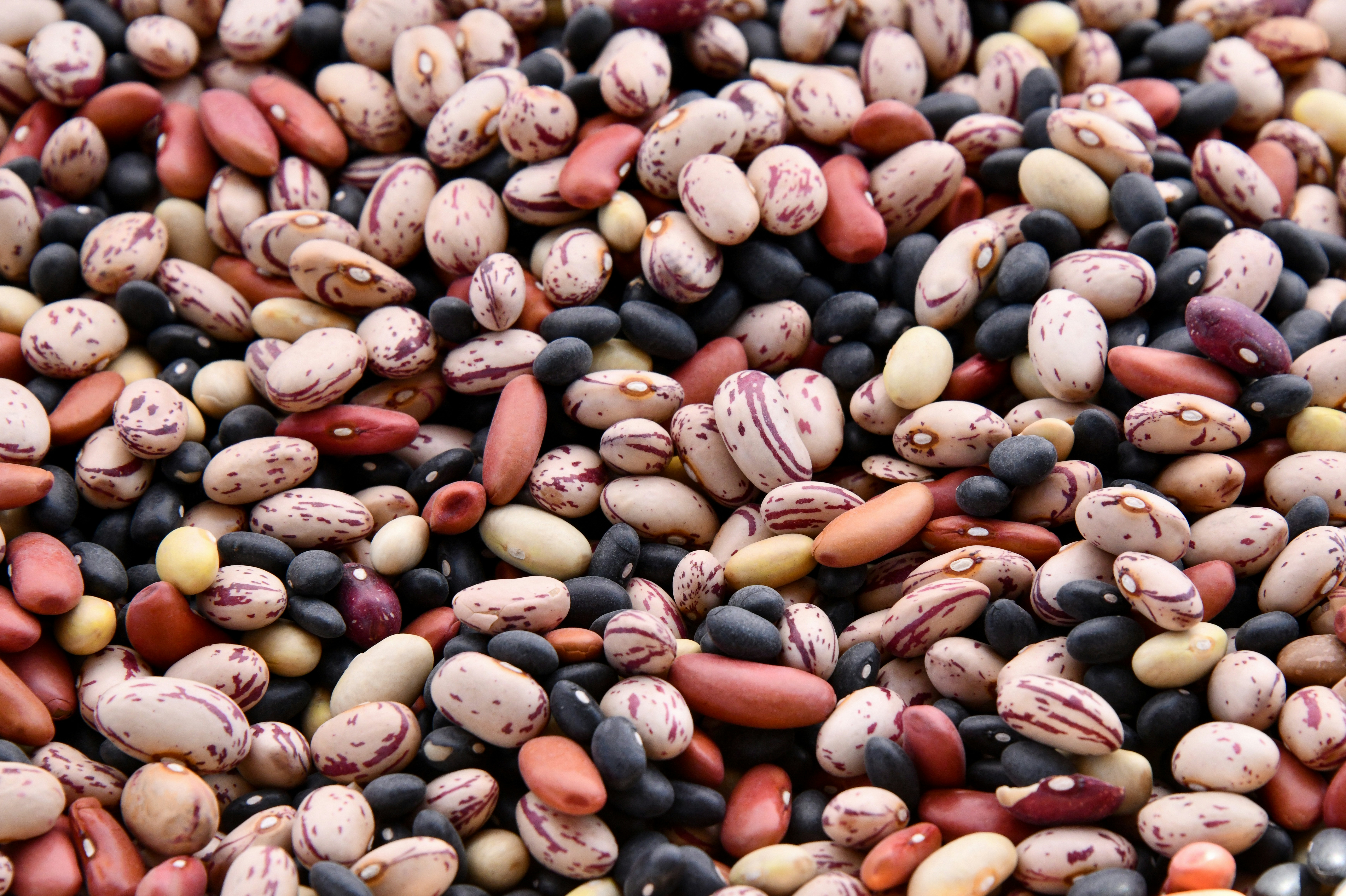 Iron-Rich Foods